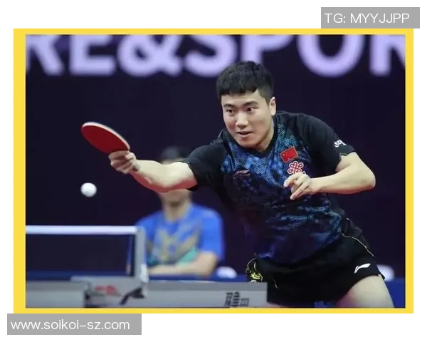 上海羽毛球队在世锦赛中的速度表现分析与未来展望