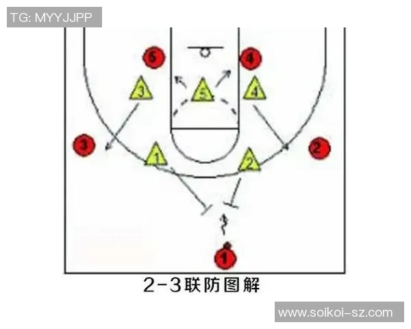 上海排球队区域防守策略解析与战术深度剖析 上海排球队区域防守策略解析与战术深度剖析