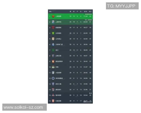 成都足球队在全国锦标赛积分榜中以66分稳居第一名展现强劲实力